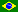Brasileiro